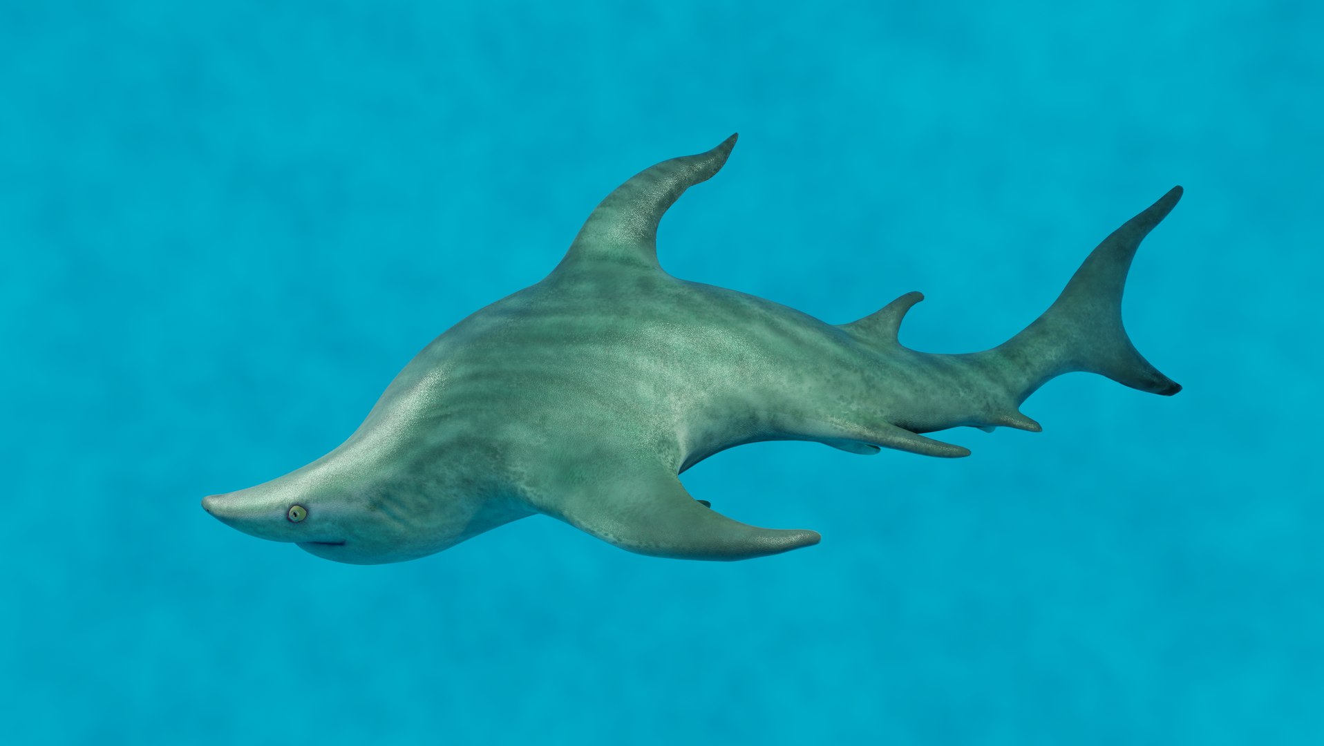 3D Model Green Shark TurboSquid 1627396