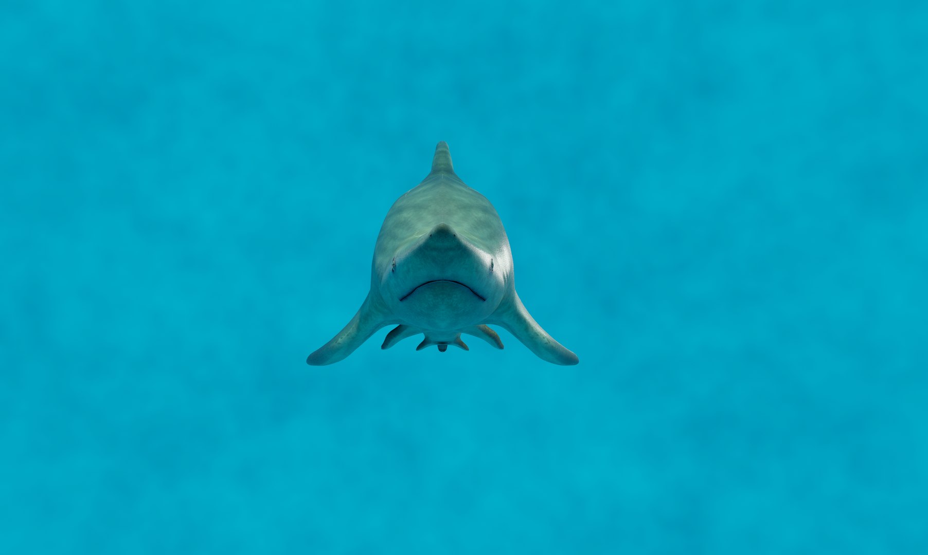 3D model green shark https://p.turbosquid.com/ts-thumb/RI/stCt0T/XbCXsDYc/79/png/1601297661/1920x1080/fit_q87/49dd2c96677435553b44a3472c542bb8f25925f2/79.jpg