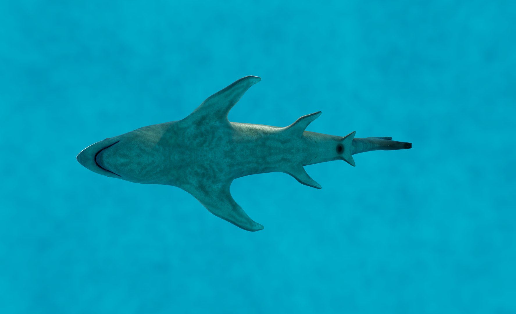 3D model green shark https://p.turbosquid.com/ts-thumb/RI/stCt0T/lw0tC8za/80/png/1601297698/1920x1080/fit_q87/6916e1eb3d9a8f684b38ff43415a85538ca38c84/80.jpg