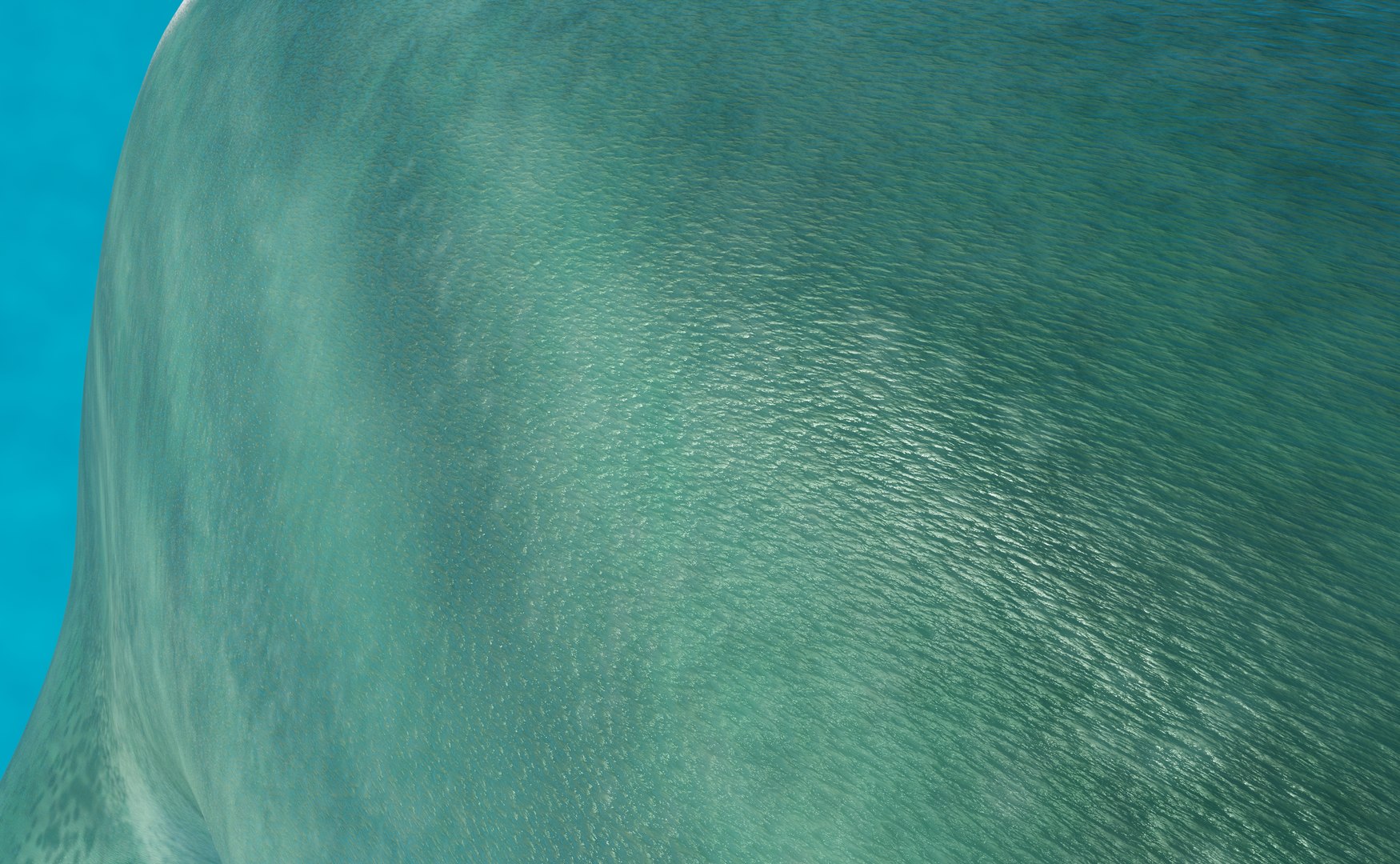 3D model green shark https://p.turbosquid.com/ts-thumb/RI/stCt0T/y9FlnYfz/83/png/1601297738/1920x1080/fit_q87/c908718ad029edbc0f4c94f32e8e368e69617642/83.jpg