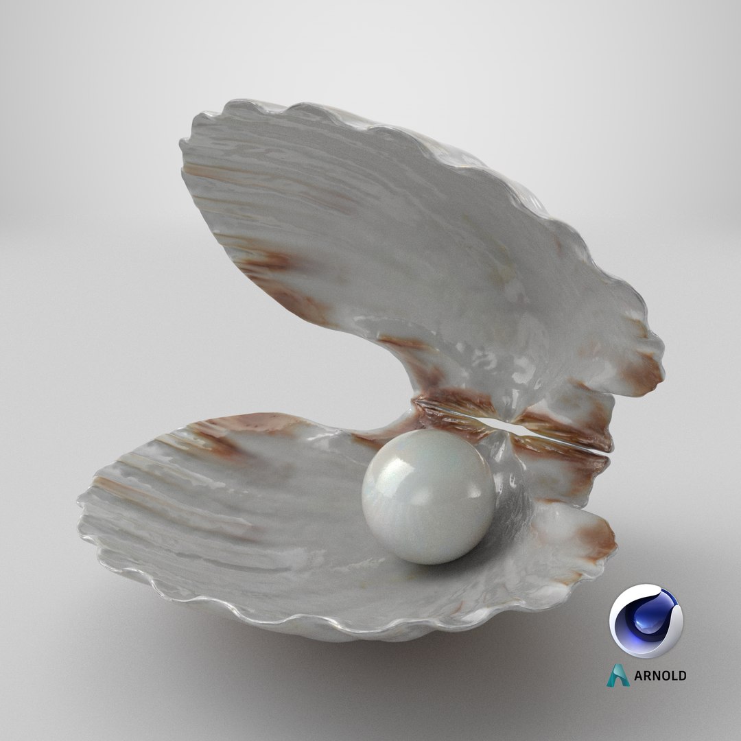 Clam Shell Pearl 02 3D model https://p.turbosquid.com/ts-thumb/RI/tcXjLl/8p/stemcell_cinema_4d_arnold_render/png/1717181606/1920x1080/fit_q87/f620767b6b1ac259c79cff5917afc1e58938d2bd/stemcell_cinema_4d_arnold_render.jpg