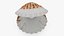 Muschelschale Perle 02