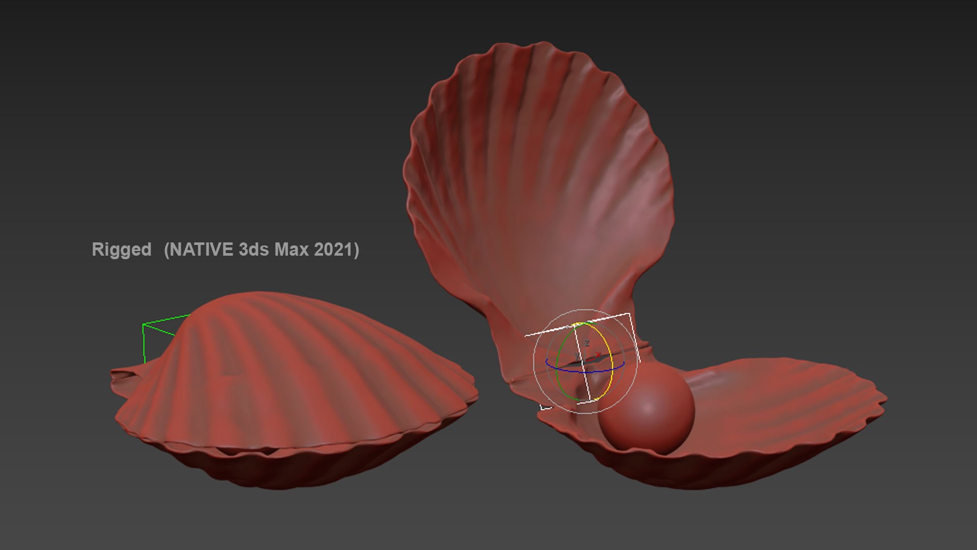 Clam Shell Pearl 02 3D model https://p.turbosquid.com/ts-thumb/RI/tcXjLl/wE/clamshell02_b0005/jpg/1725448525/1920x1080/fit_q87/bff69ce74acae7091d3f08dd09b1bb034ceab127/clamshell02_b0005.jpg