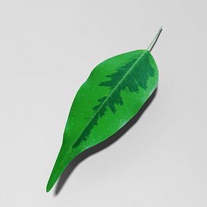 3d nature leaf