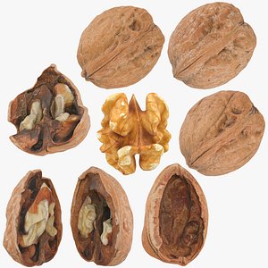 3D model Walnuts Collection