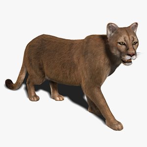 Cougar (RIGGED) (FUR)
