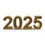 2025 3D