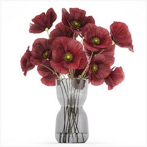 Beautiful Bouquet Of Wild Flowers Poppy 469 3D model