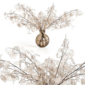 3D A bouquet of lunaria model