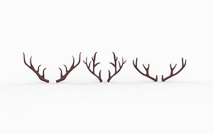 3D Deer Antler 3D model model