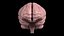 pbr uv-unwrapped human brain 3ds