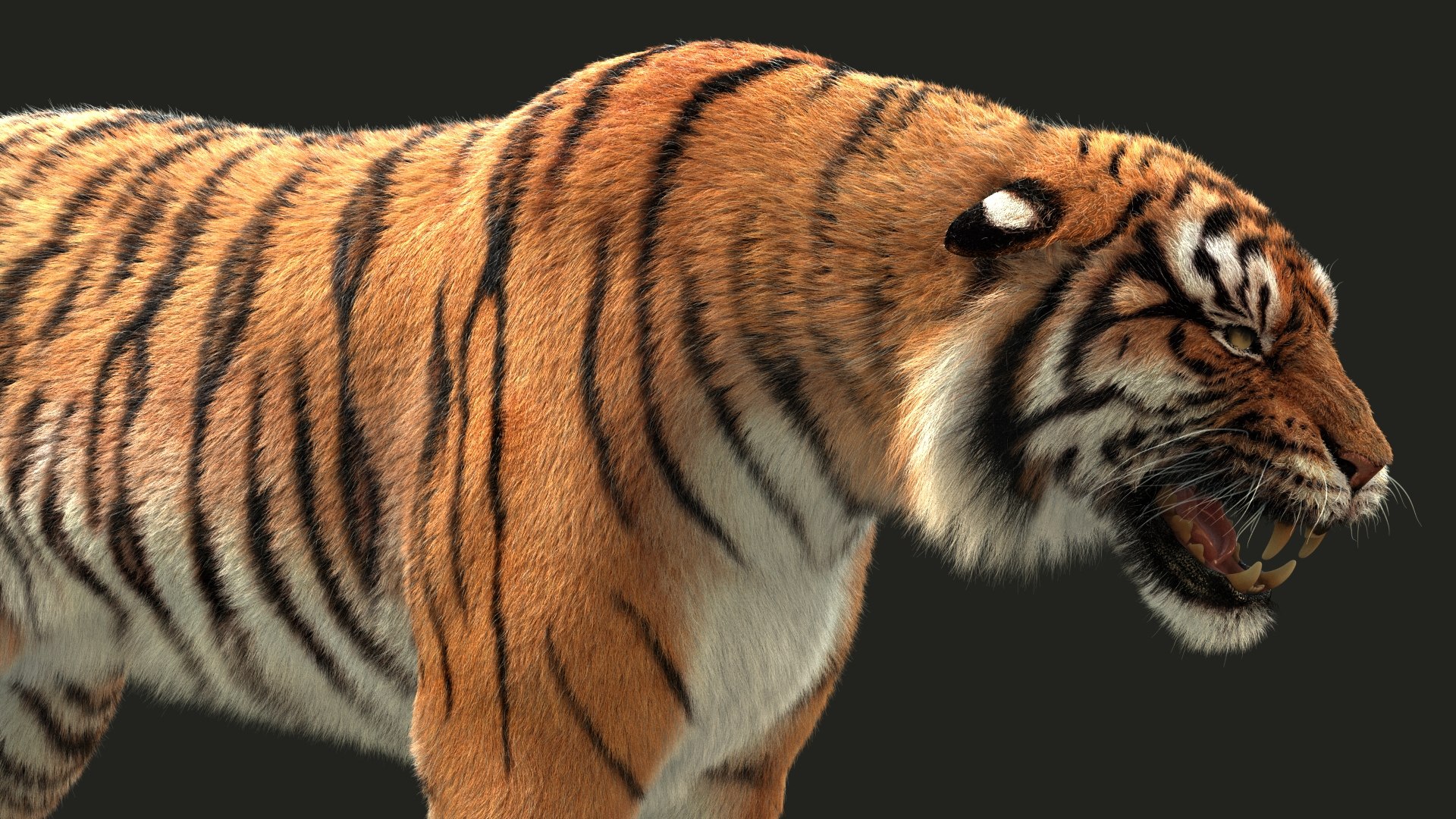 Bengal Tiger ANIMATED Yeti 3D model - TurboSquid 2124743