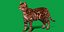 gato bengala