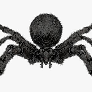 Scary Black Widow Spider