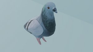 3D pigeon
