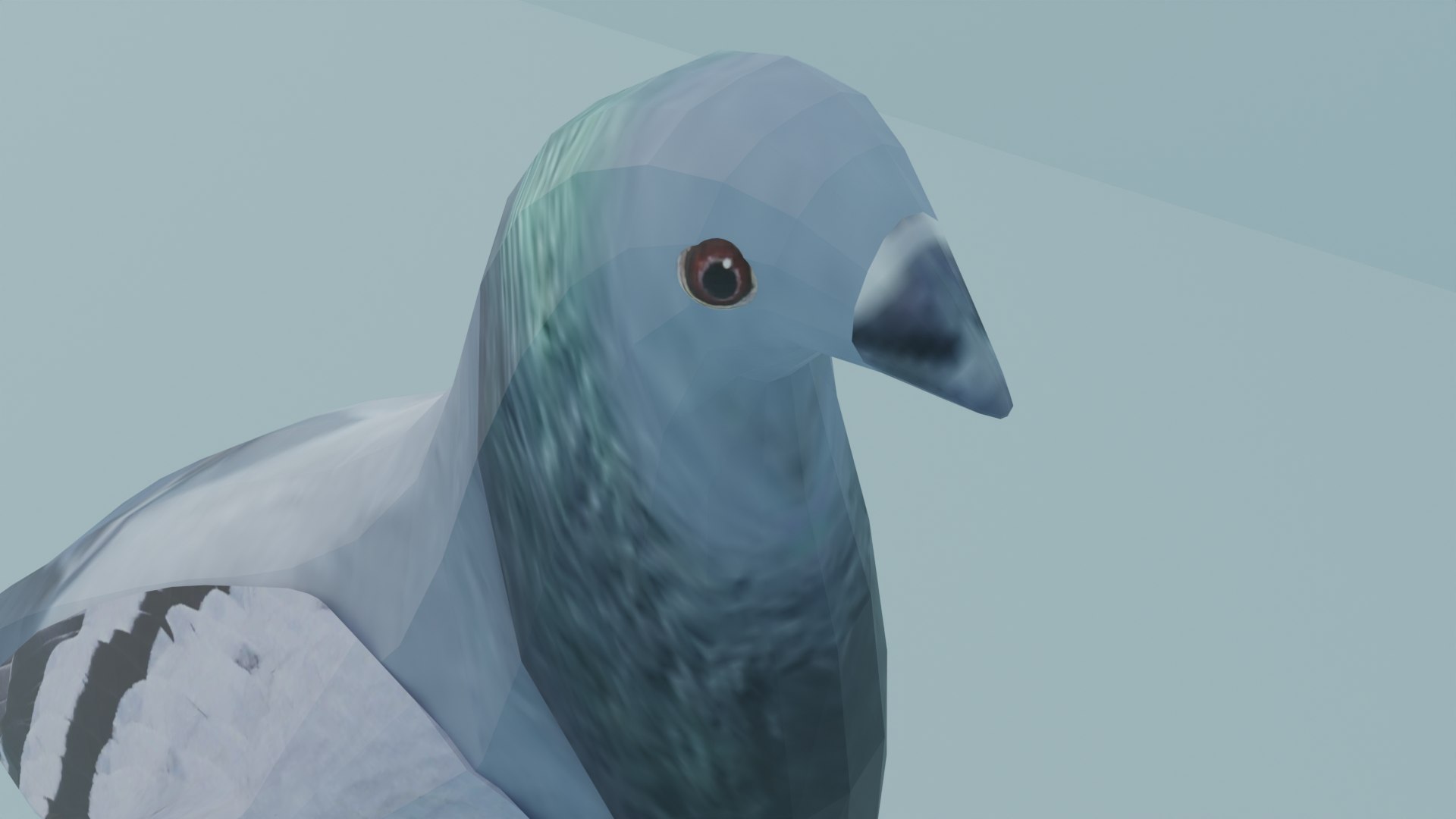 3D pigeon - TurboSquid 2174048