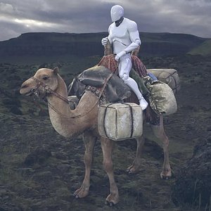 3D Camel Rigged