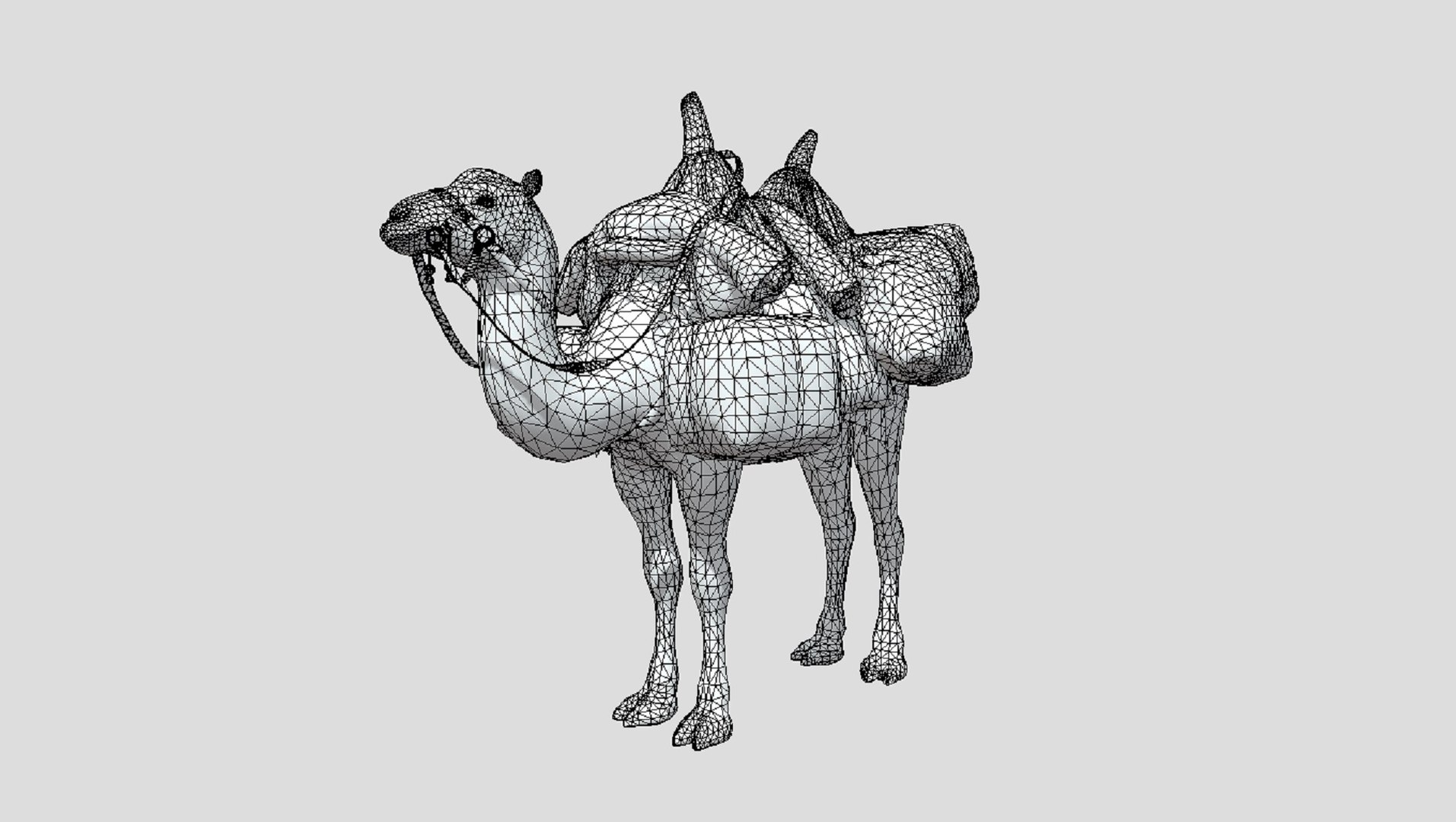 3D Camel Rigged https://p.turbosquid.com/ts-thumb/RJ/sHtyv1/s9/ed5fe8361182495d/jpg/1741578058/1920x1080/fit_q87/713d99dce0de336e2683253d26034cd7474e7445/ed5fe8361182495d.jpg