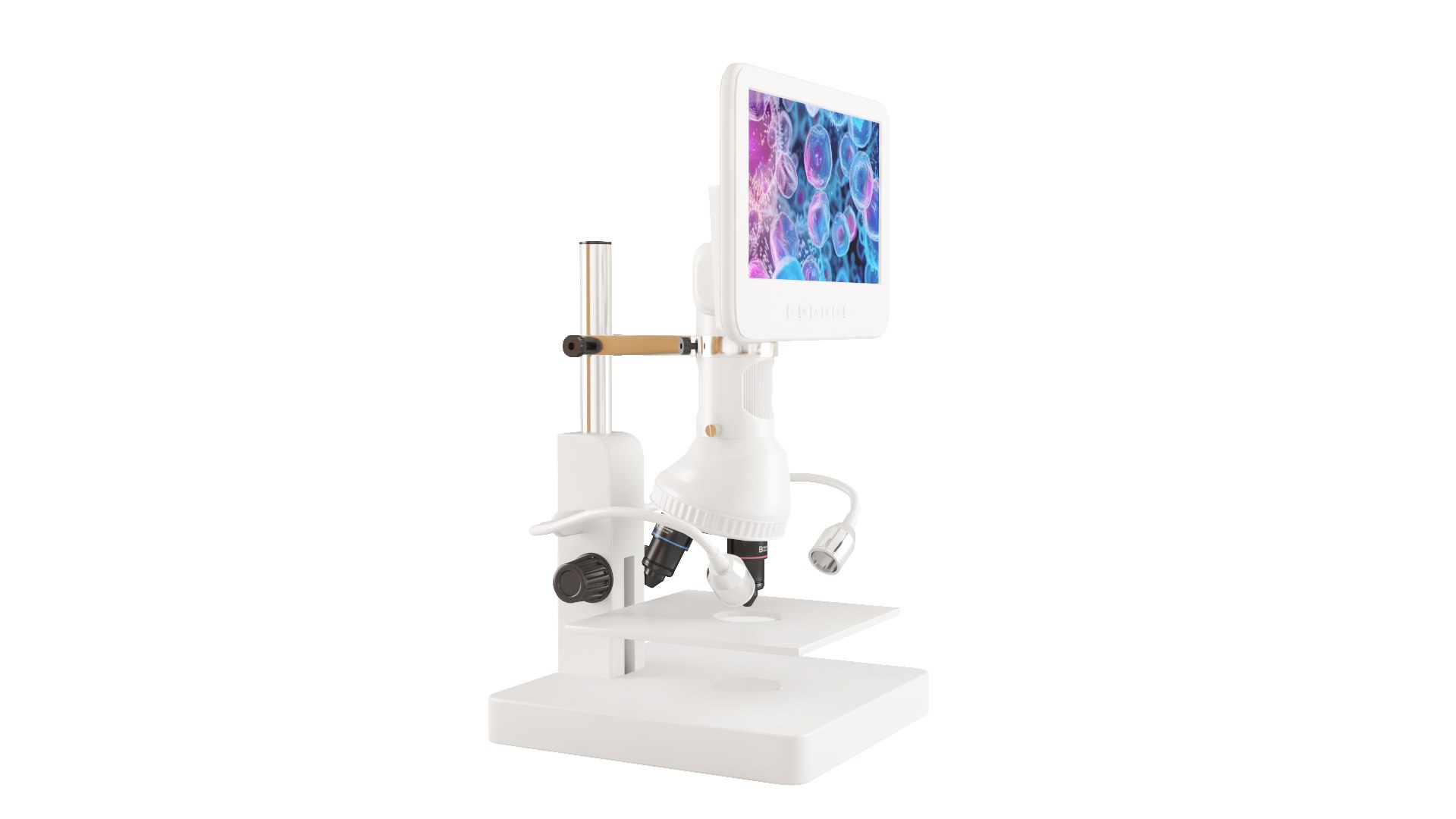 3D Medical Collection 4 in 1 https://p.turbosquid.com/ts-thumb/RK/7fN3T6/pk/image_08/jpg/1790160109/1920x1080/fit_q87/f16b147269ac8abb96535c1e0289c149ca920ca2/image_08.jpg