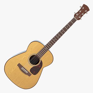 Acoustic Guitar
