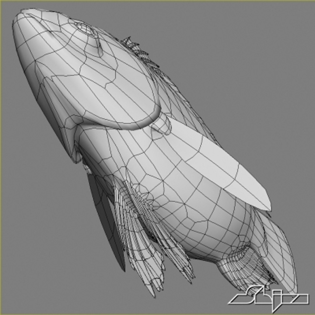 Fish Red Snapper 3d Model