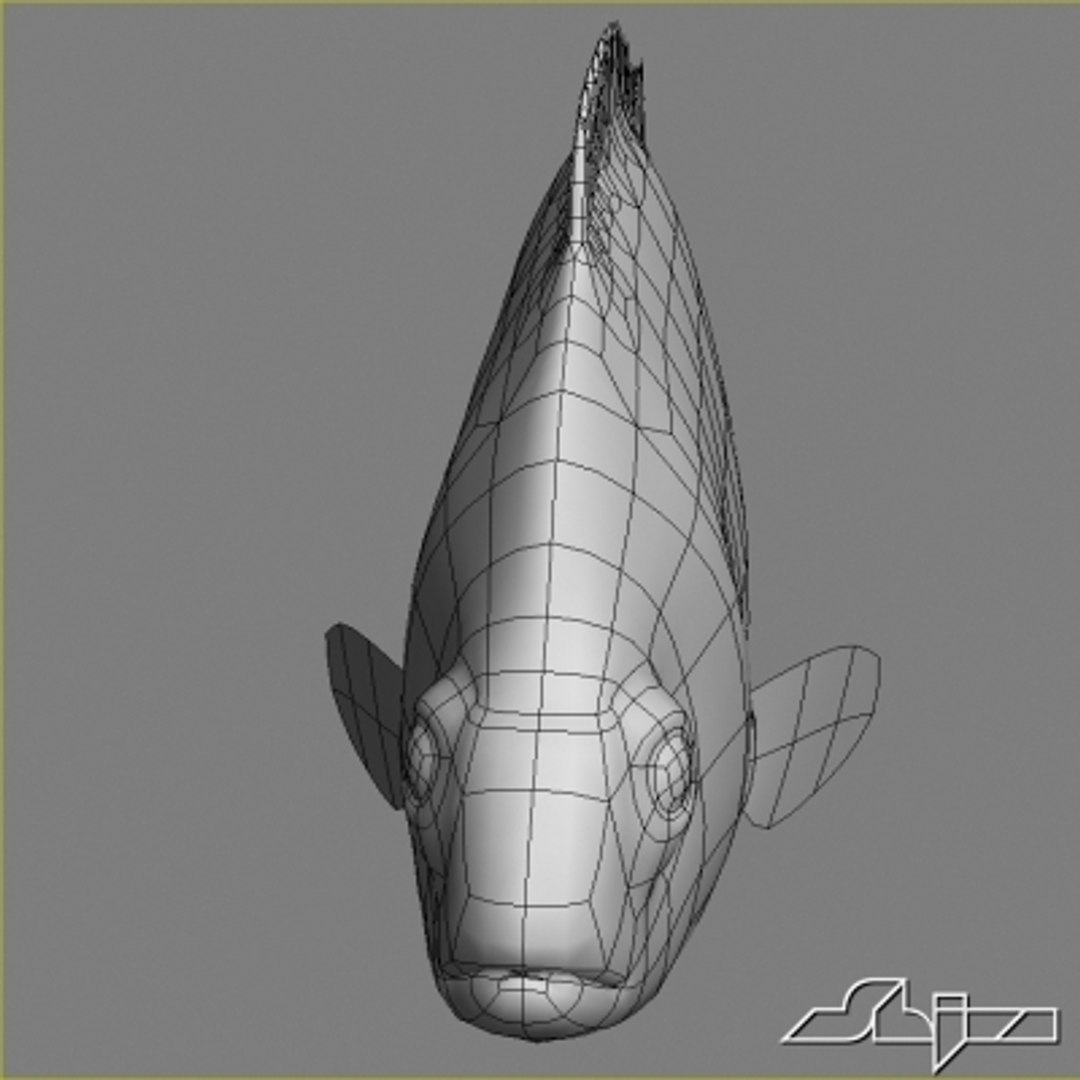 Fish Red Snapper 3d Model