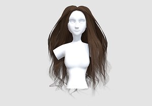 Thick Long Hairstyle 3D model