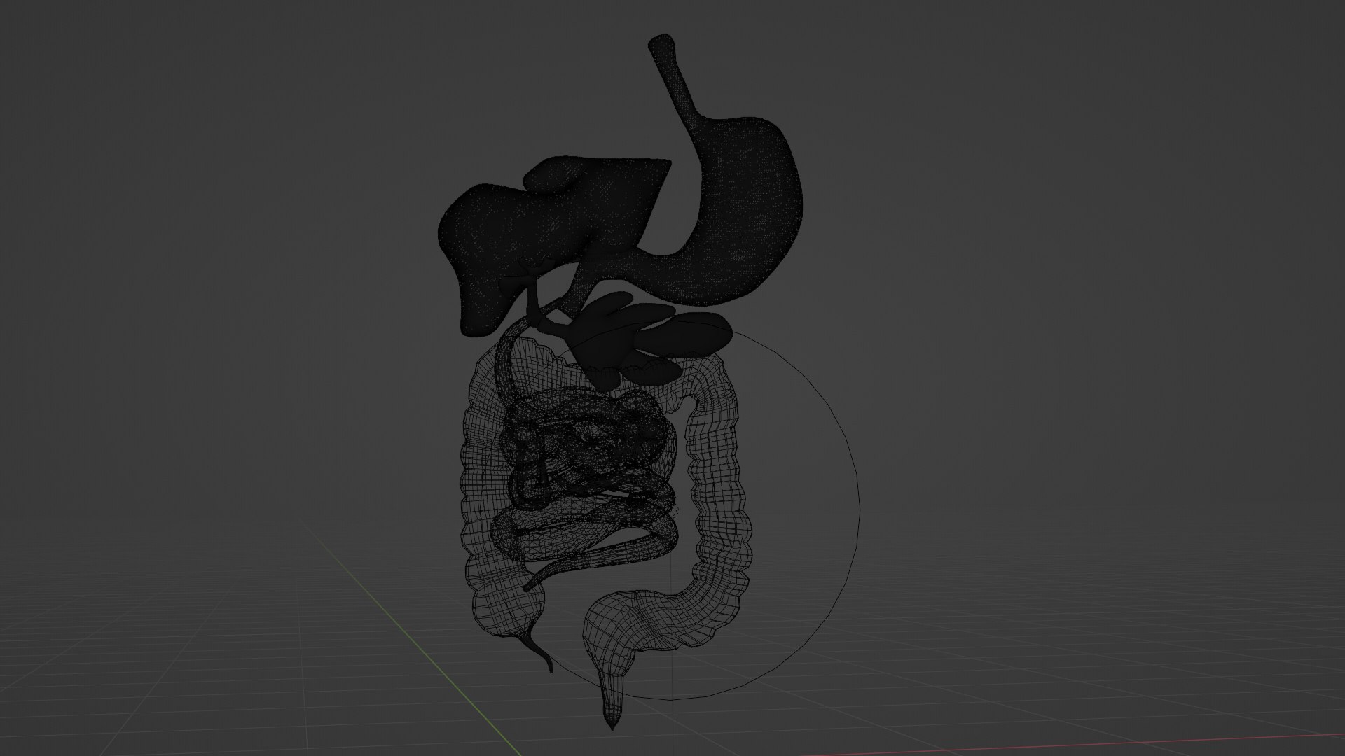 3D Human Digestive model - TurboSquid 2140366