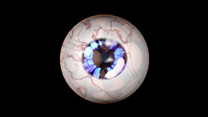 3D eye rig model