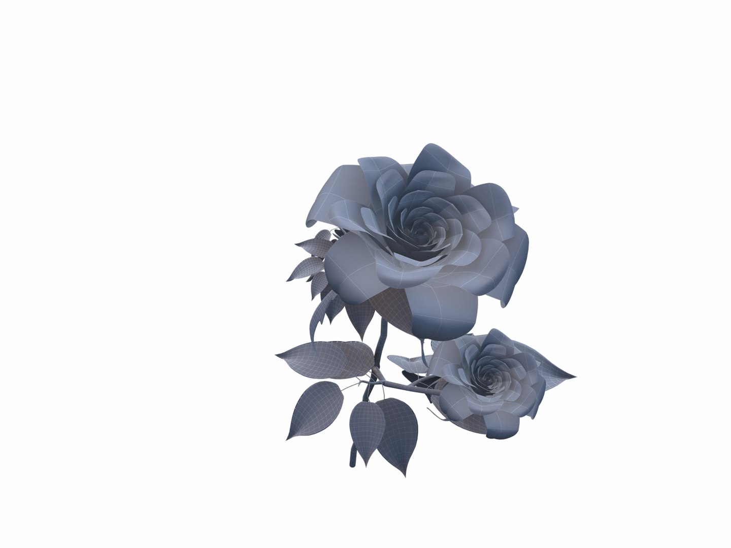 3d Flower Opening Animation
