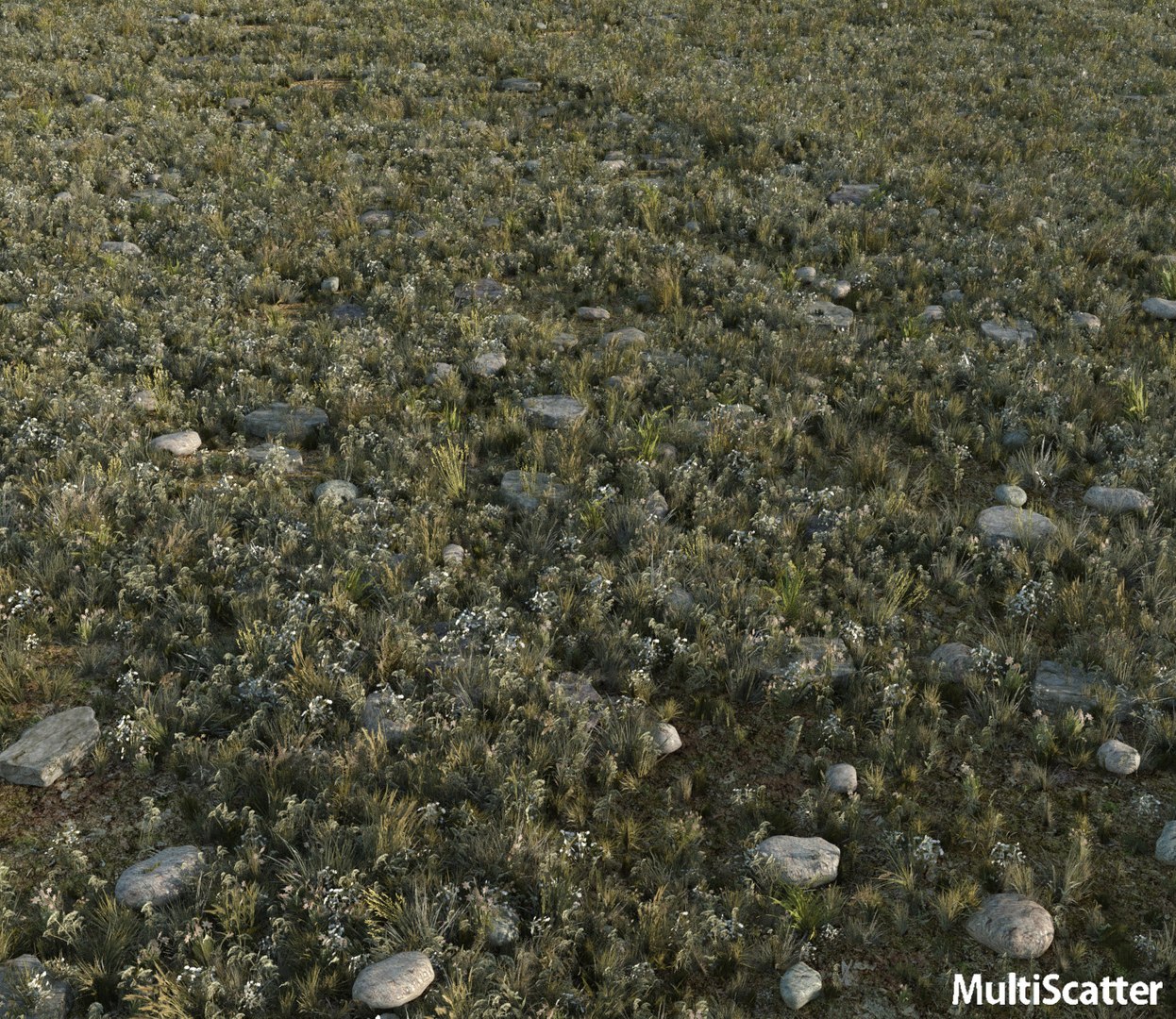 real-time wild grass field 3D model https://p.turbosquid.com/ts-thumb/RK/xj9mqD/4wXqabhy/wgrass2/jpg/1503164567/1920x1080/fit_q87/569e4c543b0c327c54cb4a6c1f53909c5c73a7ea/wgrass2.jpg