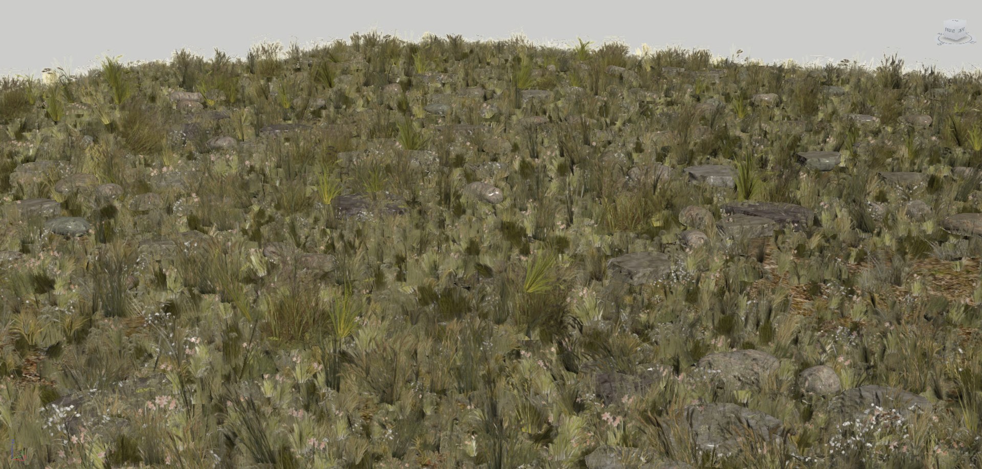 real-time wild grass field 3D model https://p.turbosquid.com/ts-thumb/RK/xj9mqD/MkLqlSDH/wgrass9/jpg/1503164567/1920x1080/fit_q87/d3c68599b46c6a7742239dfd2ba06b436ce7d667/wgrass9.jpg