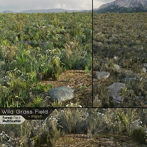 Wild Grass Field (Real-time)