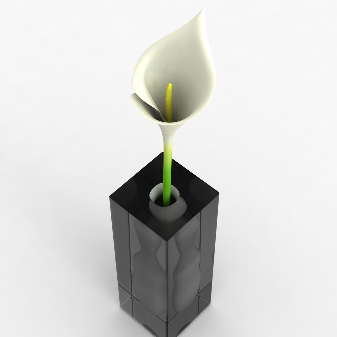 modern vase flower 3d model https://p.turbosquid.com/ts-thumb/RL/36xc9g/QPr2WL0l/vase_046_render_0002/jpg/1433045801/1920x1080/fit_q87/f01391f160d021f817adcd7b1aabaf4f9bc2129b/vase_046_render_0002.jpg