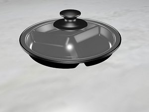 stainless steel divided tray model