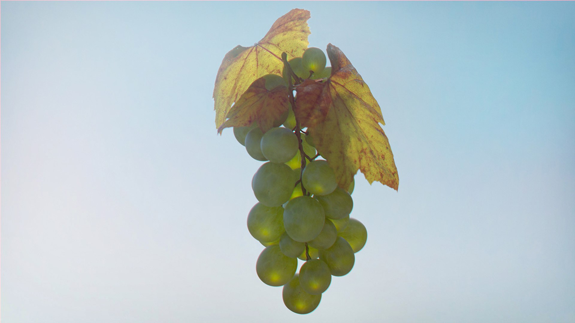 3d bowl fruits apples grapes model https://p.turbosquid.com/ts-thumb/RL/3srrvf/bzxYobiT/fruit_015/jpg/1457391099/1920x1080/fit_q87/685fb0bab5fe944ed8d64285a0a8815de6c0e950/fruit_015.jpg
