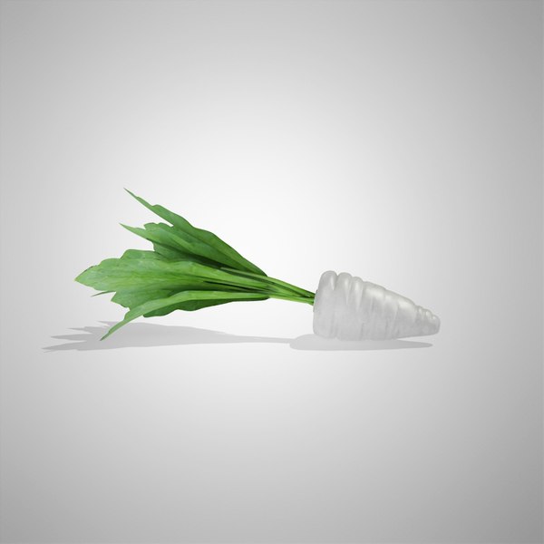 3d model radish white