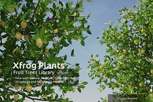 3d model trees fruit dvd plant
