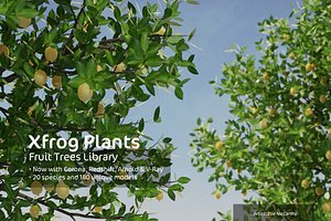 2020 XfrogPlants Fruit Trees Library