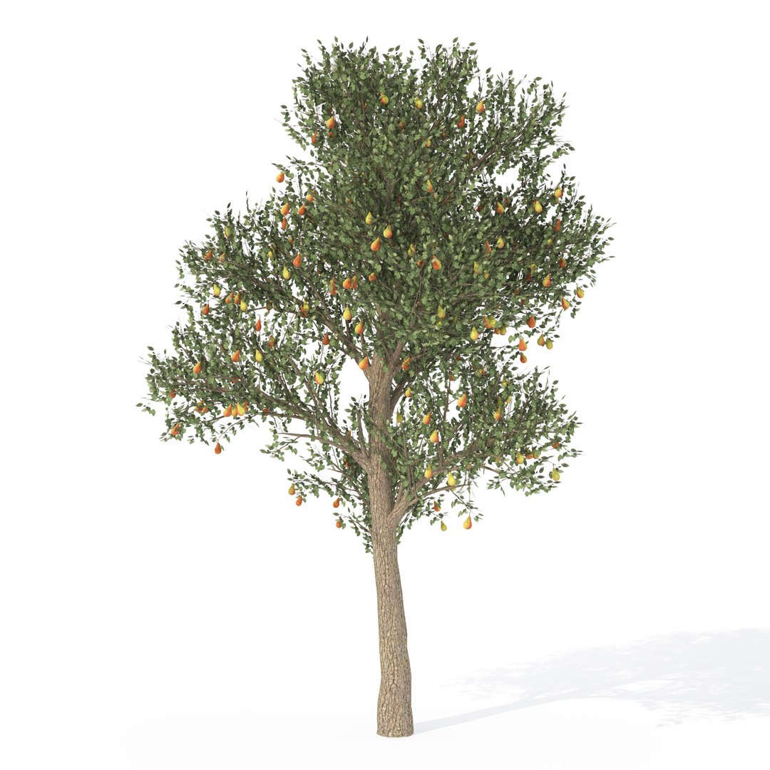 3d model trees fruit dvd plant https://p.turbosquid.com/ts-thumb/RL/GMrI4g/bf7jAlPe/fr20apear/jpg/1463523700/1920x1080/fit_q87/baec86d906b07523ae0a31f8bd51149465d6dbc9/fr20apear.jpg