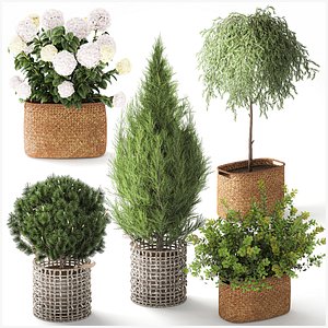 Plants baskets hydrangea Juniper Olive tree bushes 3D model