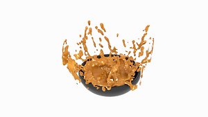 corn soup splash model