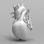Human Heart