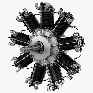 Bristol Jupiter Engine 2