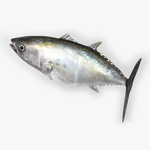 TUNA FISH Rigged  L1566
