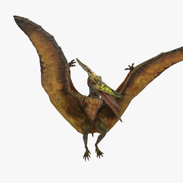 Modelo 3d Pteranodon Flying Carnivorous Reptile Landing Pose 