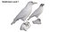 3D Birds Collection