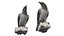 3D Birds Collection