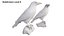 3D Birds Collection