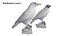 3D Birds Collection